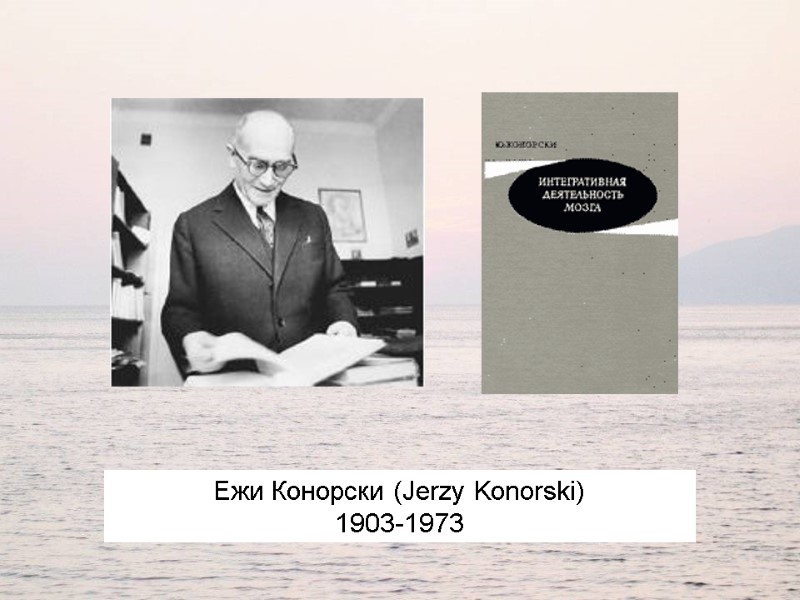 Ежи Конорски (Jerzy Konorski) 1903-1973